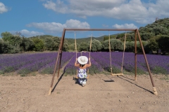 girl in walks in a field of lavender. View from the back