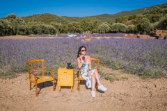 lavanda17