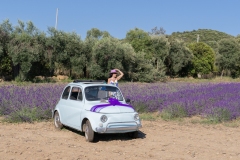 girl in walks in a field of lavender. View from the back