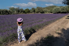 girl in walks in a field of lavender. View from the back