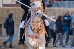 sartiglia-202364