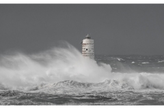 faro-del-mangiabarche3