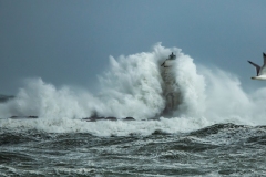 faro di Mangiabarche sferzato da onde furiose