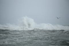 faro di Mangiabarche sferzato da onde furiose