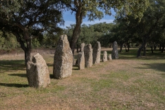 Parco archeologico di Pranu Muttedu