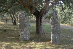Parco archeologico di Pranu Muttedu goni