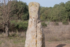 Parco archeologico di Pranu Muttedu goni