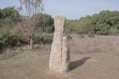 menhir-goni12Parco archeologico di Pranu Muttedu goni
