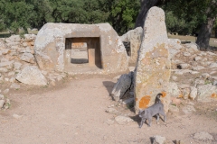 Parco archeologico di Pranu Muttedu goni