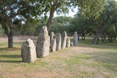 Parco archeologico di Pranu Muttedu goni