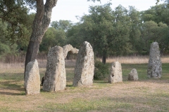 Parco archeologico di Pranu Muttedu goni