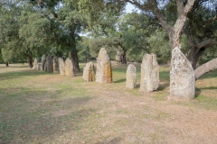 Parco archeologico di Pranu Muttedu goni