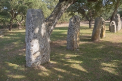 Parco archeologico di Pranu Muttedu
