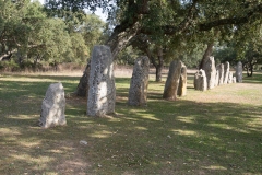 Parco archeologico di Pranu Muttedu