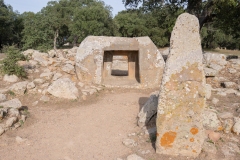 Parco archeologico di Pranu Muttedu