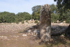 Parco archeologico di Pranu Muttedu goni