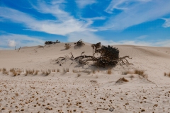 dune spiaggia porto pino sant anna arresi