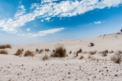 dune spiaggia porto pino sant anna arresi