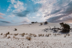dune spiaggia porto pino sant anna arresi