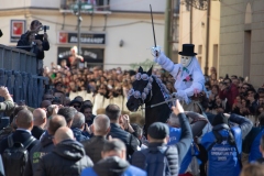 sa sartgilia oristano i cavallieri e la stella