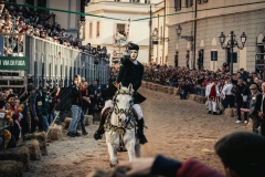 immagini-sartiglia-2313