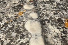 Is Concas le Domus de Janas di Segariu