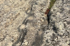 Is Concas le Domus de Janas di Segariu