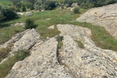 Is Concas le Domus de Janas di Segariu