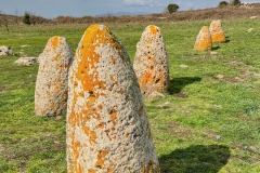 sito archeoligo di tamuli a macomer