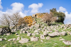 sito archeoligo di tamuli a macomer