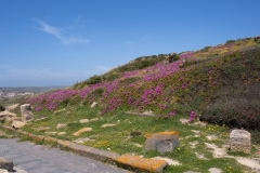 antica città di tharros a cabras centro sardegna