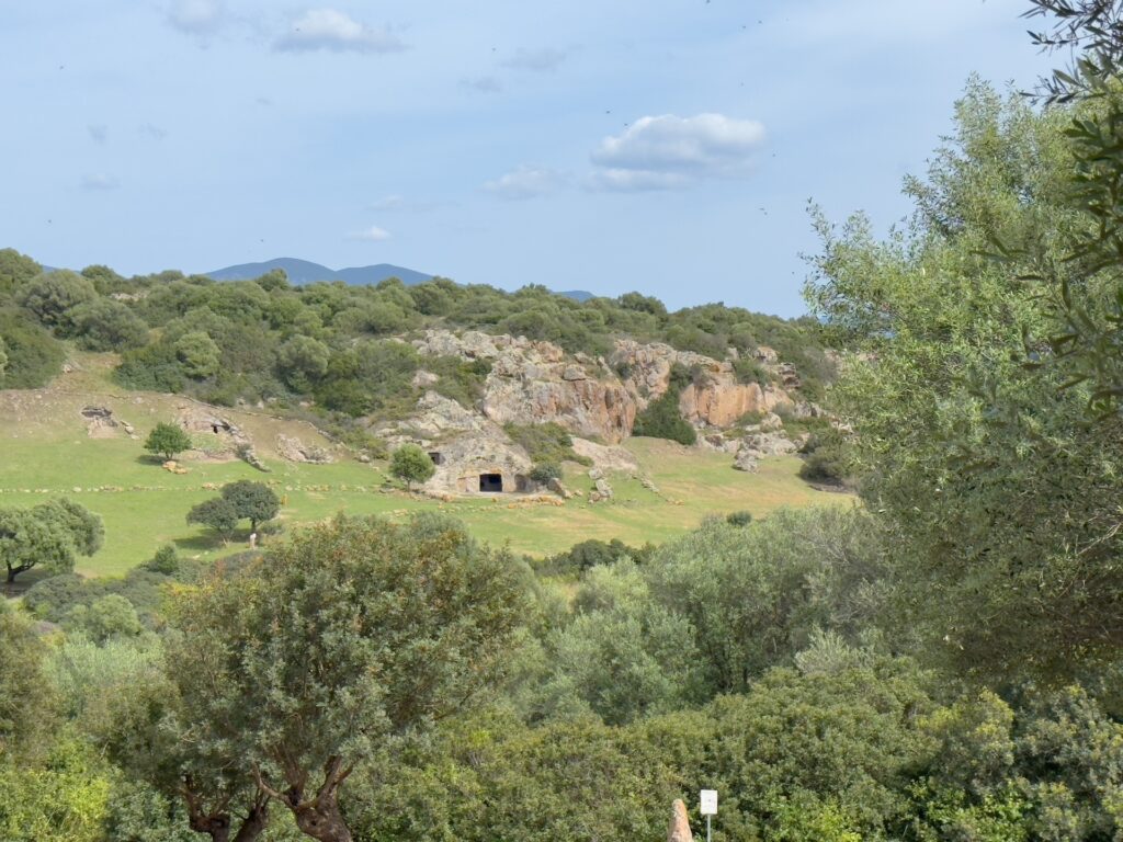 Necropoli di Montessu Villaperuccio